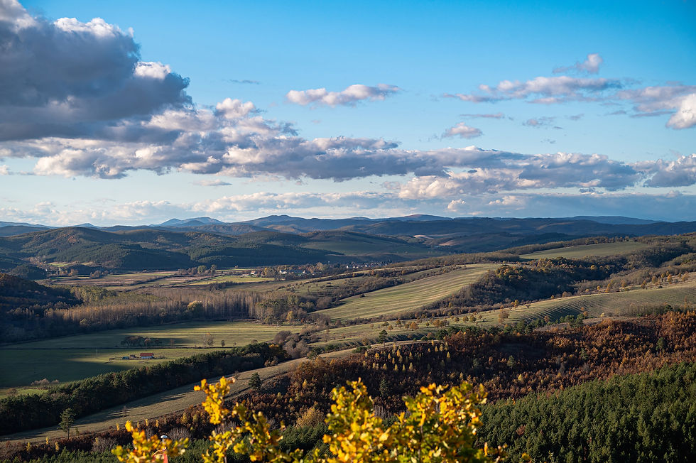Panoráma Sirokból