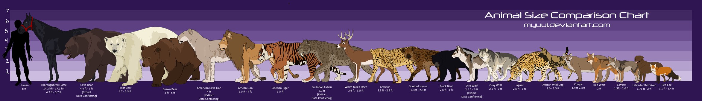 Wolf Dog Size Chart