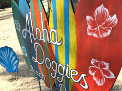 Aloha-Doggies-Beach-Party-surfboard
