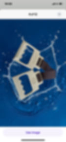 foot 6.jpg
