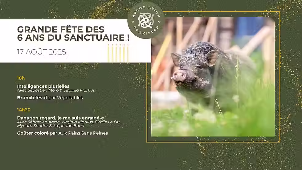 Grande fête des 6 ans du sanctuaire Co&xister!
