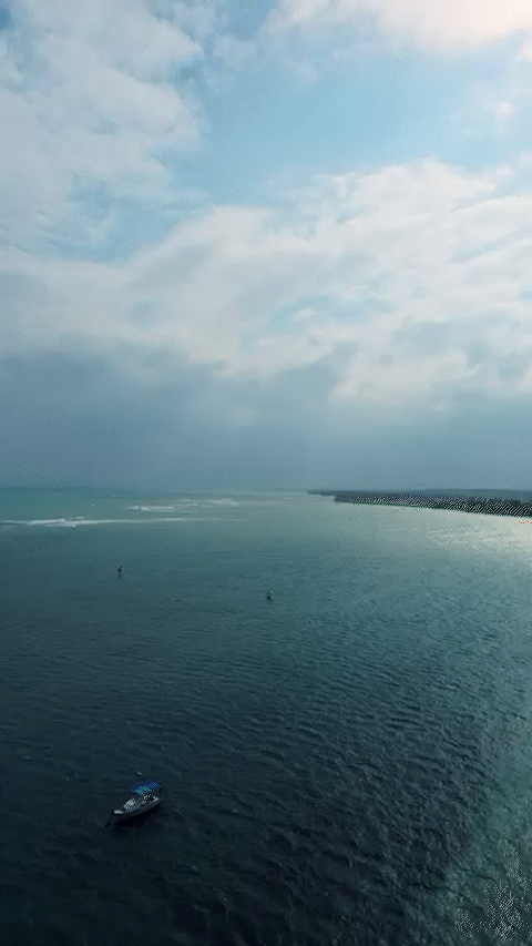 241020 [FPV] Araua - Wing Foil VERT.gif