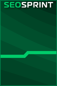 seo4x200x300.gif