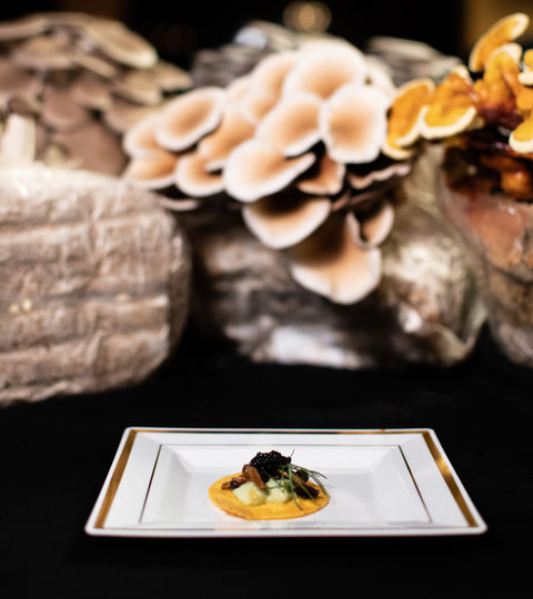 RMK Mushroom Event-11.JPG