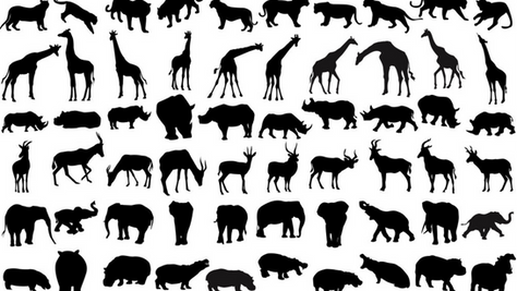 The Unsung Heroes: Animal-Based Search and Support in Emergency Response