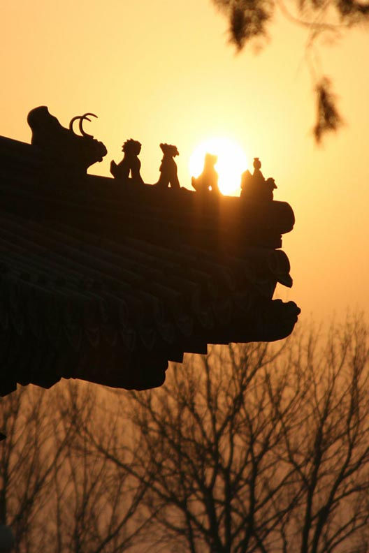 Chimères sur les toits de Pékin