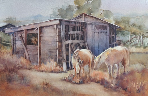 Sunny Horses.jpeg