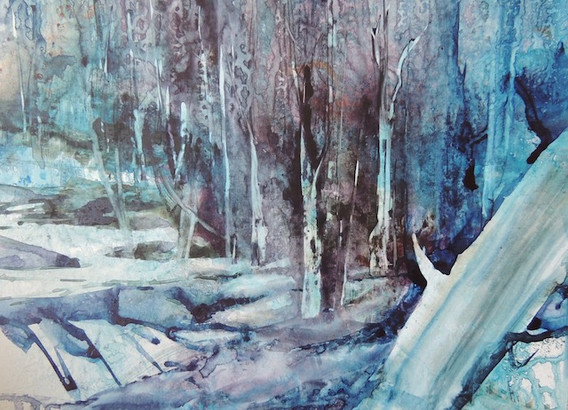 Light in the Forest.jpeg
