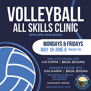 VB Clinic with Amy (1).png