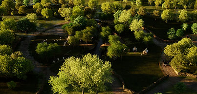 Longhouse_Farmstead_AerialShots_0003_Layer 8.jpg