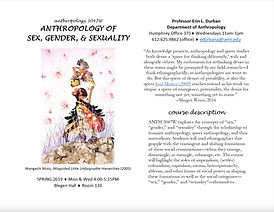 Cover page of the Anthropology of sex gender and sexuality syllabus with Afro-futuristic artwork by Wangechi Mutu