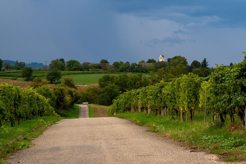 Heitersheim_AdobeStock_1169682596.jpeg