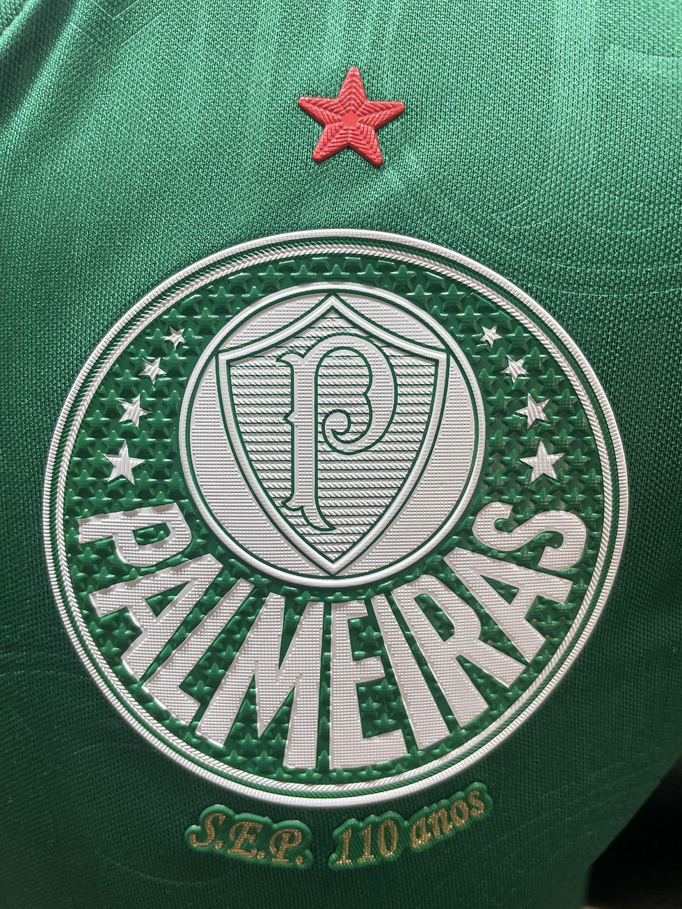 Thumbnail: Palmeiras 24/25 Home Kit