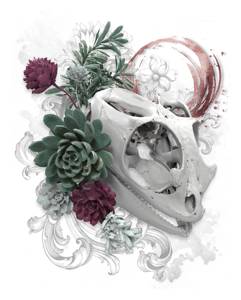 Beauty of Life and Death