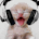 unnamed.gif