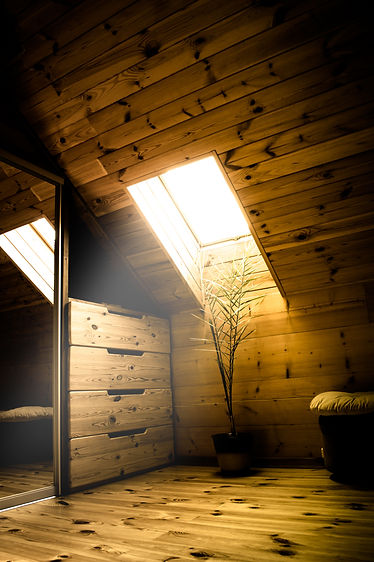 wooden loft interior with skylight in de