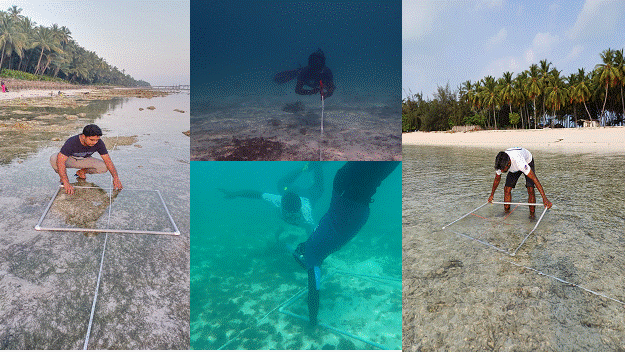 image004.gif