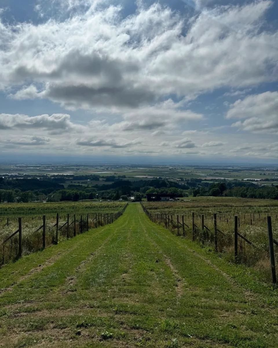 馬追蒸溜所 | シングルキャスクジャパン