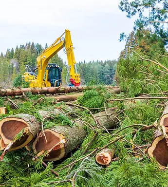 山を整えるショベルカー | 福島県郡山市の林業を行う株式会社FAC