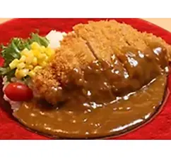 Delicious breaded cutlet with curry sauce over rice