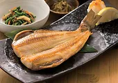 Shima Hokke