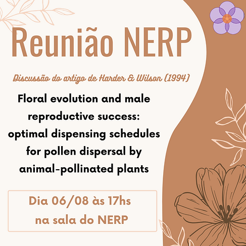 Reunião NERP 2025.png