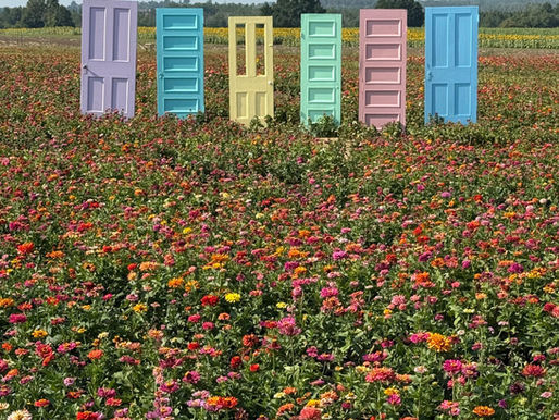 Laura’s Farm Stand: One of Ontario’s Most Photogenic Day Trips