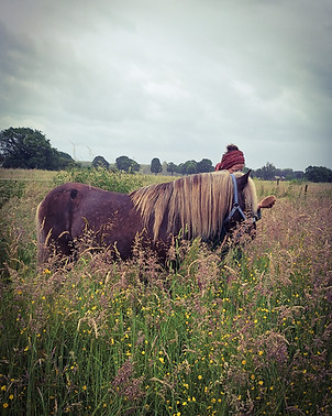 Ein entspanntes Bild auf einer Wiese, ein Mädchen hinter einem Pferd.