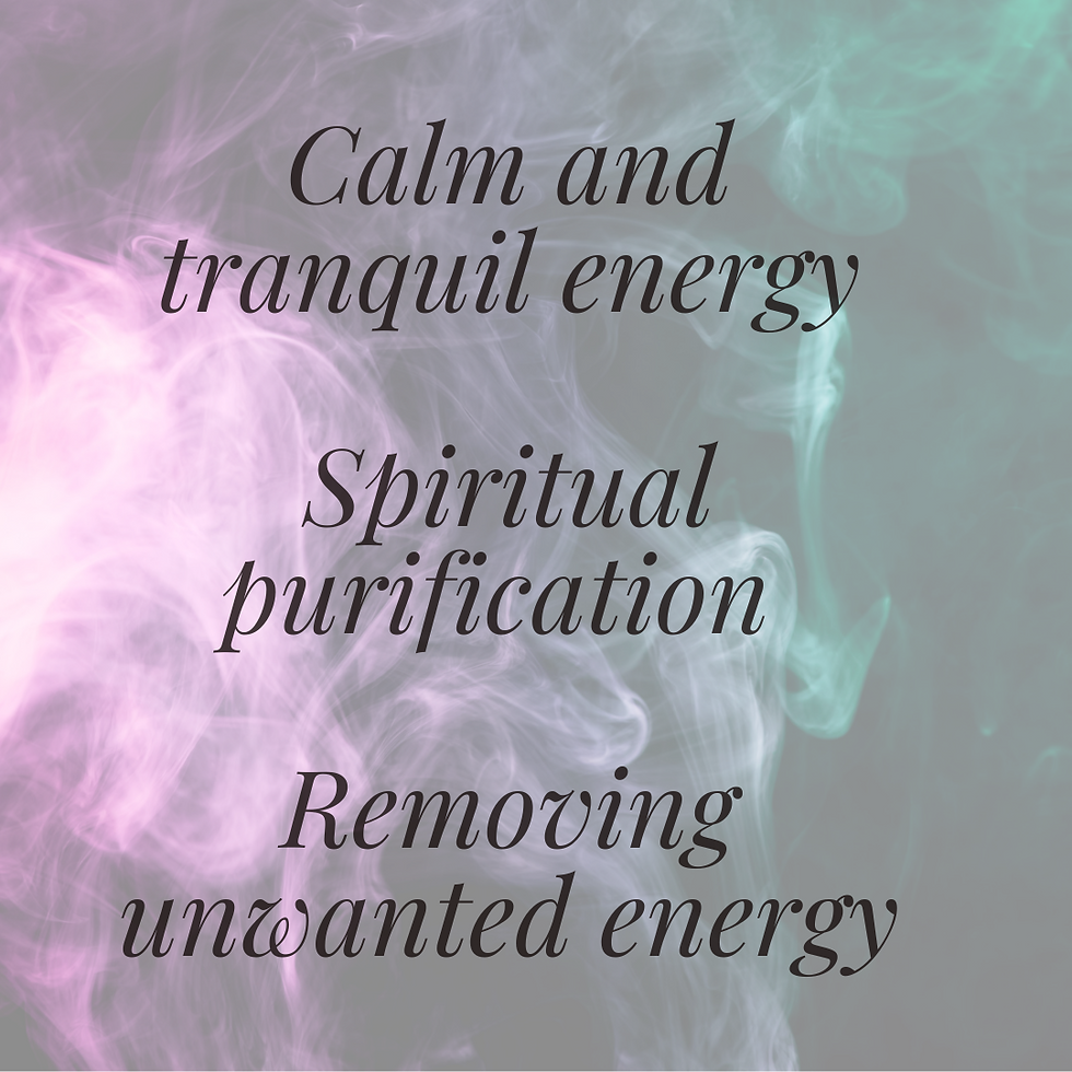 Why burn Palo Santo?