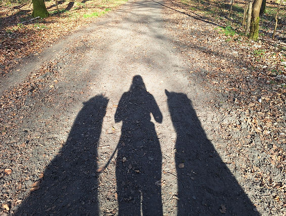 Schatten von einer Frau mit zwei Pferden