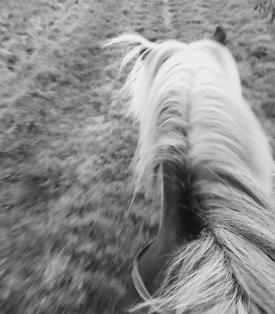 20210823_204030.jpg