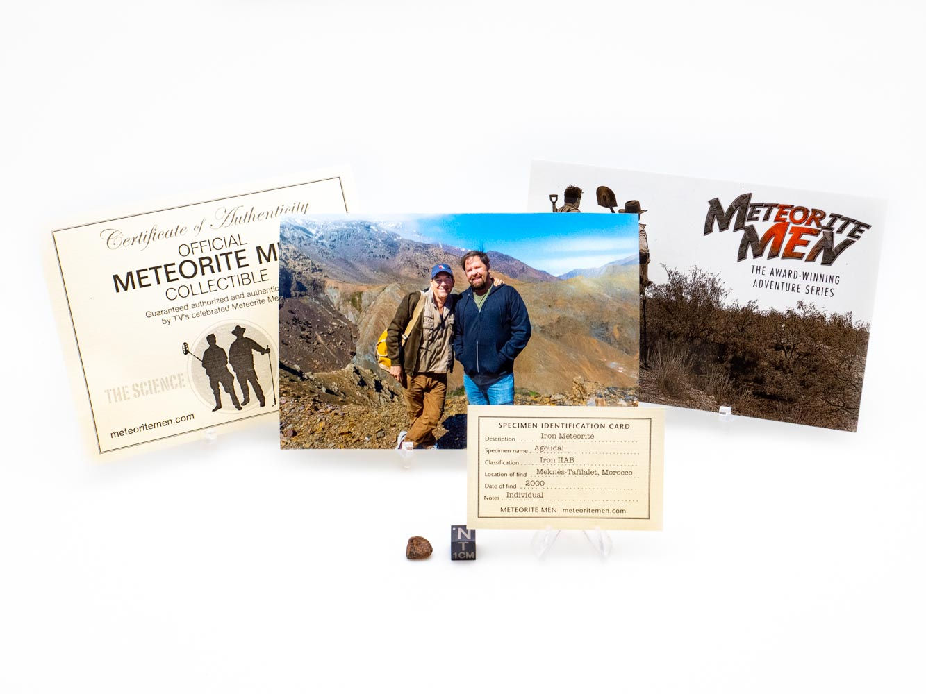 Agoudal Meteorite Men Re-Visit Collectible