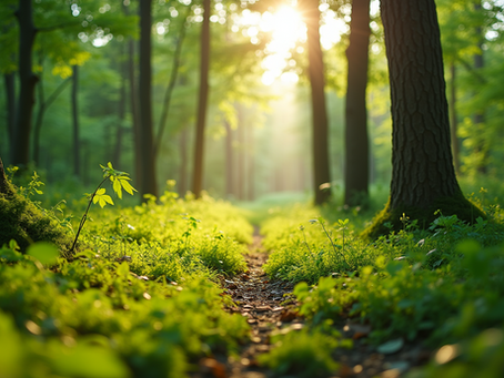 The Importance of Sustainable Living for Future Generations