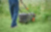 mowing-overgrown-lawn.jpg