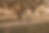ChatGPT Image May 25, 2026, 11_50_41 AM.png