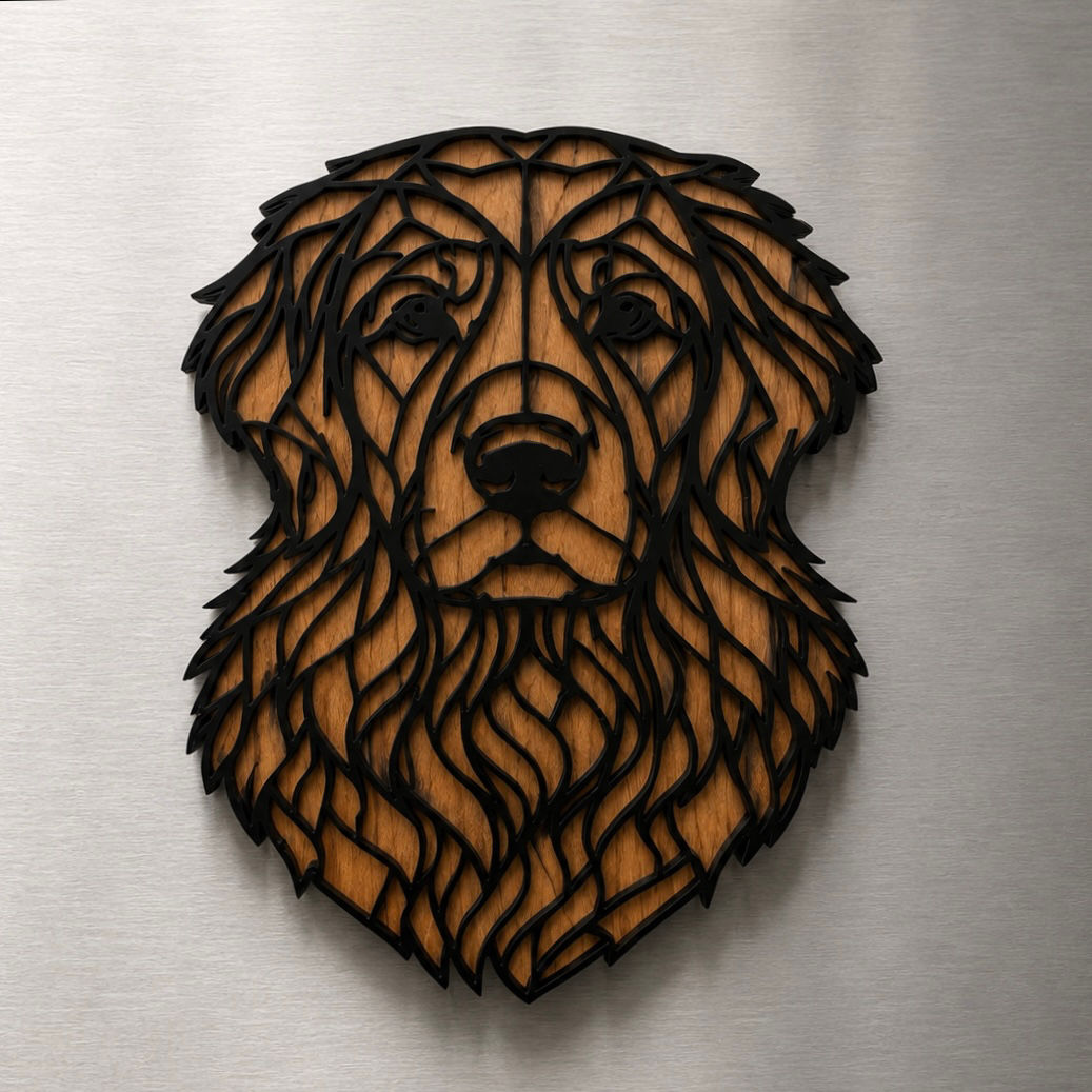 The Companion Magnet