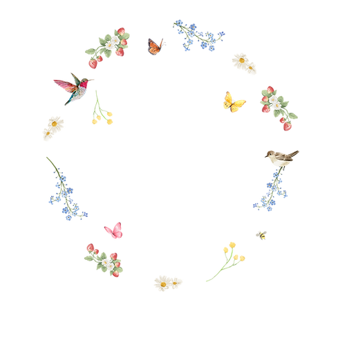 NEW BORDER.png
