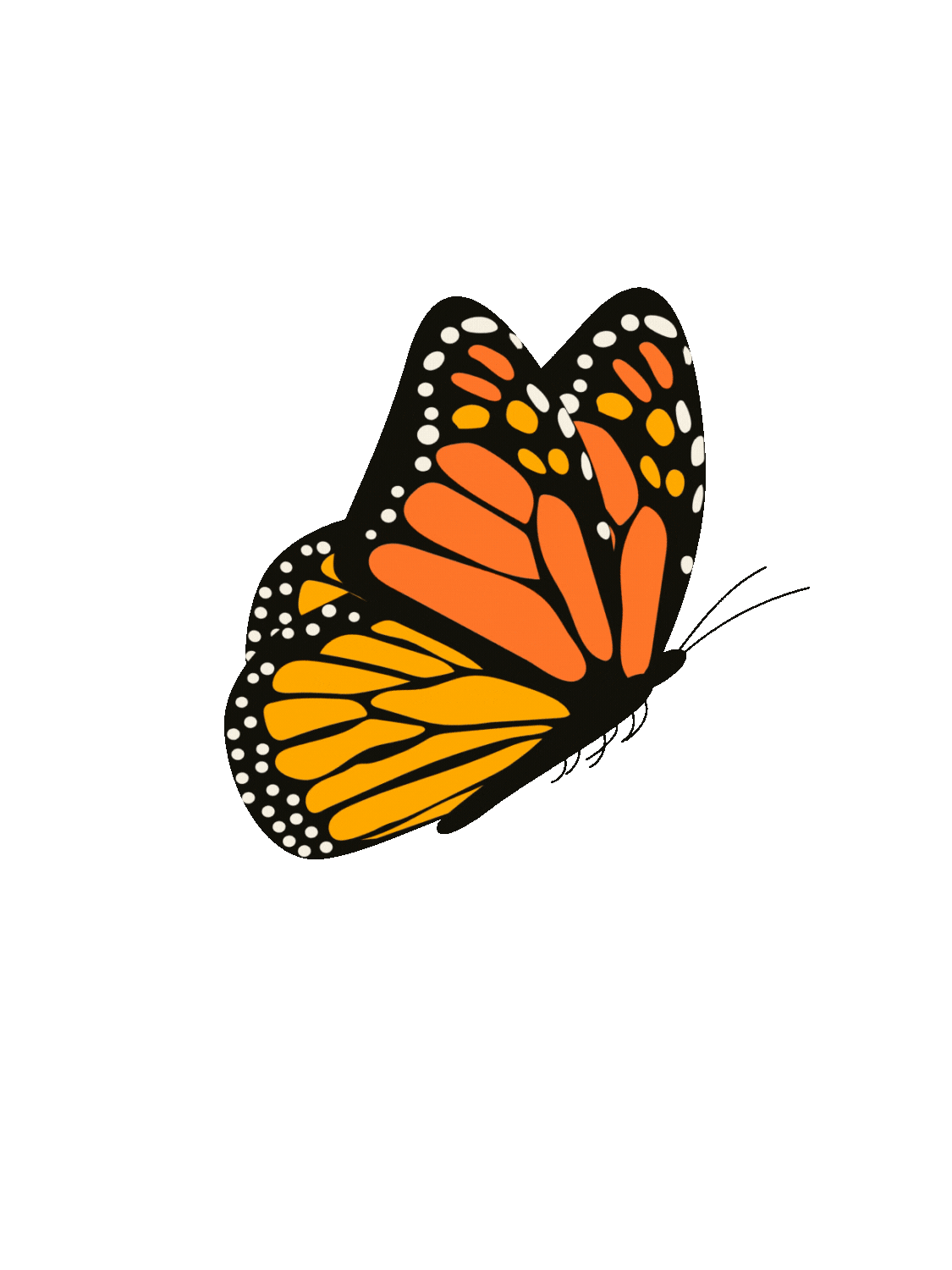 butterfly.gif