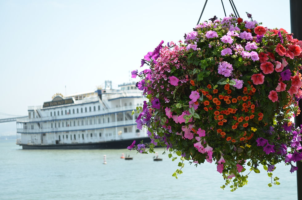 Ferry and Flowers