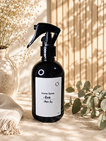 Home_Spray_Alanis.jpeg