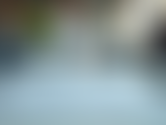 Elevate Your Expertise with Online HR Courses