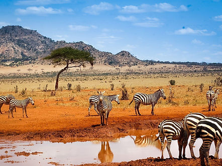 Explore Kenya: A 4-Day Adventure