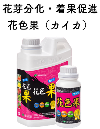 カイカ_.png
