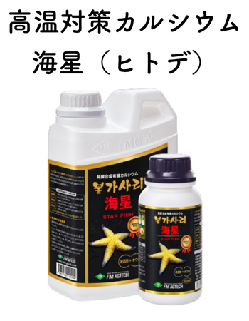 ヒトデ.png