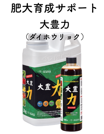 大豊力.png
