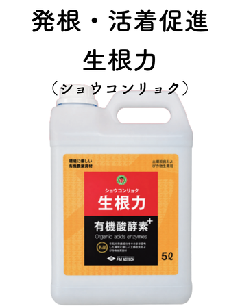 ショウコンリョク.png