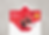 BH_MailerMockup