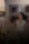 v4.webp