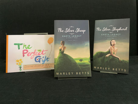 Three books on display: "The Perfect Gift," colorful with balloons, "The Silver Sheep," and "The Silver Shepherd," featuring a woman in greenery.