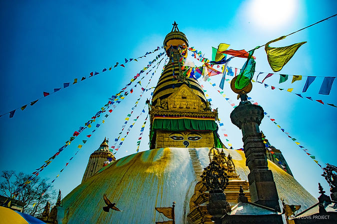 Nepal by Exploredinary-Monkey Temple 3.jpg